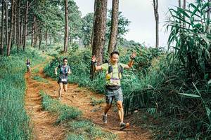 BIB: 
                            <button type="button" onclick="openModal(25659054)" class="btn btn-primary btn-sm float-right btn-popup" data-toggle="modal" data-target=".modal-high-quality">
                        <i class="fas fa-shopping-cart"></i> Add to Cart
                    </button>
                                            <button type="button" onclick="isThisMe(25659054, true)" class="btn btn-success btn-sm float-right btn-popup btn-isme hidden" data-toggle="tooltip" data-placement="bottom" title="นี่คือรูปของคุณใช่ไหม คลิกที่นี่เพื่อเอาเข้าอัลบั้ม">
                        <i class="fas fa-plus"></i> Add to album
                    </button>
                    <button type="button" onclick="isThisMe(25659054, false)" class="btn btn-warning btn-sm float-right btn-popup btn-isnotme hidden">
                        <i class="fas fa-ban"></i> Remove from album
                    </button>